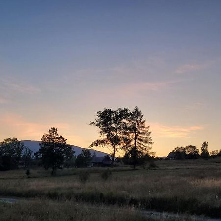 Hamajdowka Villa Zubrzyca Gorna Bagian luar foto